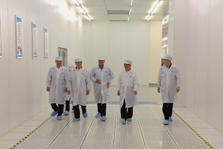 陳清泰調研長江存儲與武漢新芯，共話中國芯片產業發展