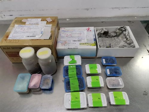 海關(guān)嚴(yán)查進(jìn)境郵政快件，搖身一變的日用品驚現(xiàn)活體甲蟲