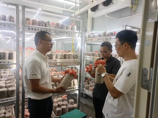 科研活動賦能食用農(nóng)產(chǎn)品研發(fā) 驅動農(nóng)業(yè)現(xiàn)代化與健康飲食新變革