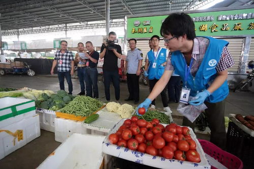 人大代表政協委員現場見證，食用農產品抽檢合格率百分百的背后