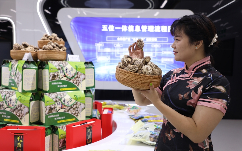 湖北鄖西 五大百億產業集群“頂起”工業經濟，食用農產品研發賦能鄉村振興